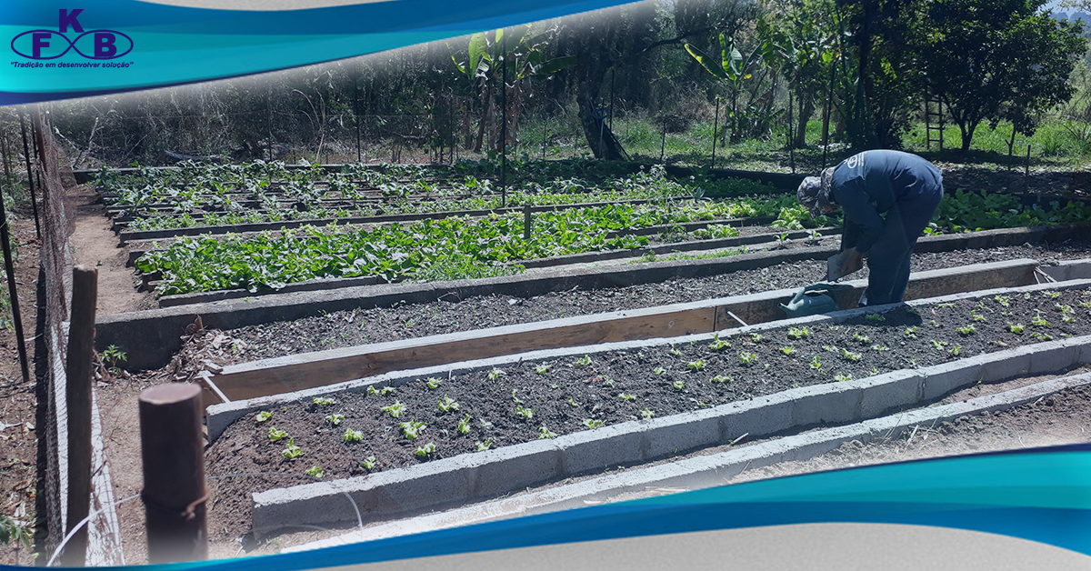 Vida, Bem-Estar e Alimentação Saudável